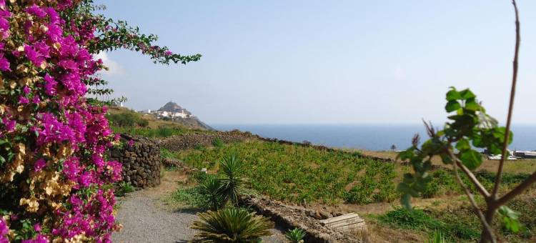 泽比波多罗农庄酒店(Agriturismo Zibibbodoro)图片