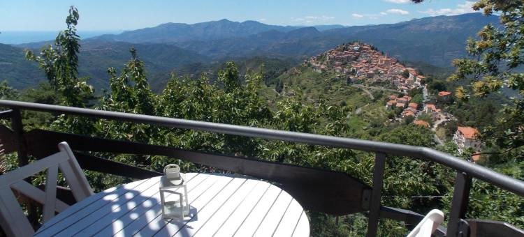 B&B le Camelie del Bosco图片
