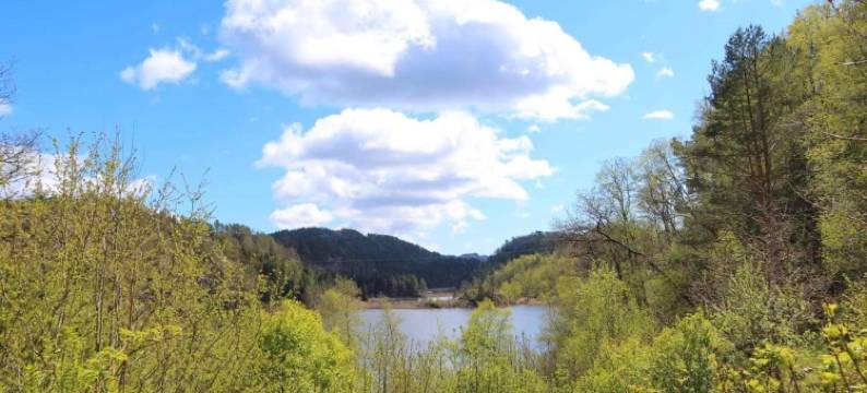 Fosseland Gjestegård图片