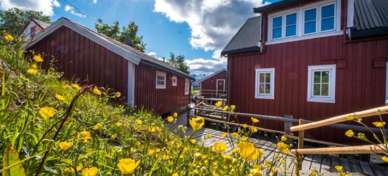 斯温诺亚罗布尔酒店(Svinøya Rorbuer)图片