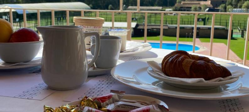 索兰纳德尔特酒店(Hotel Solana del Ter)图片