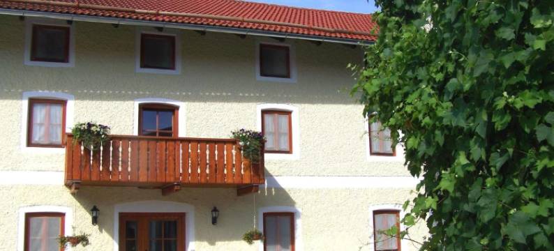 潘森珀彻姆赫酒店(Pension Poschmühle)图片