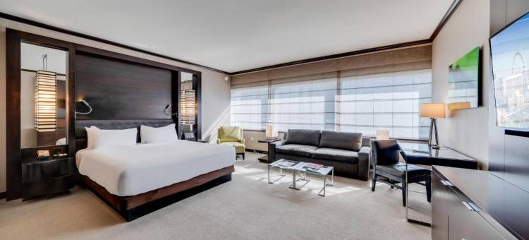 维达拉喷气奢华酒店(Jet Luxury at the Vdara)图片