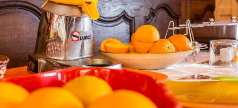 德安吉别墅酒店(Hotel Villa des Anges)图片