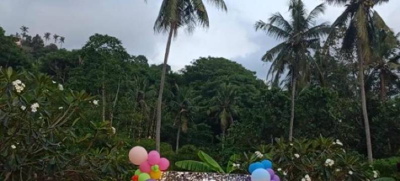 汤姆和杰瑞别墅(Villa Tom and Jerry)图片