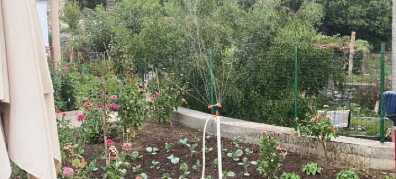 Village House Dunja图片