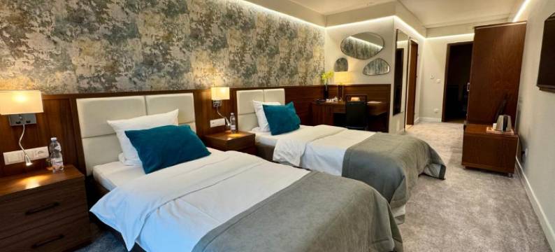 因内斯酒店(Hotel Ines)图片