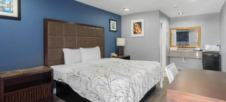 Golden Inn Dallas by Hotel O图片