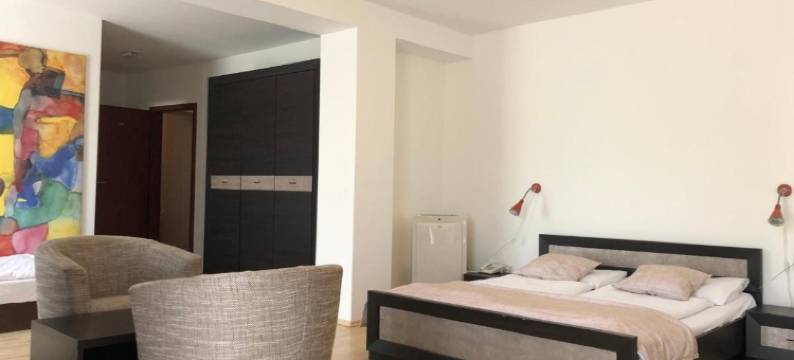 米尔林酒店(Hotel Mlyn)图片