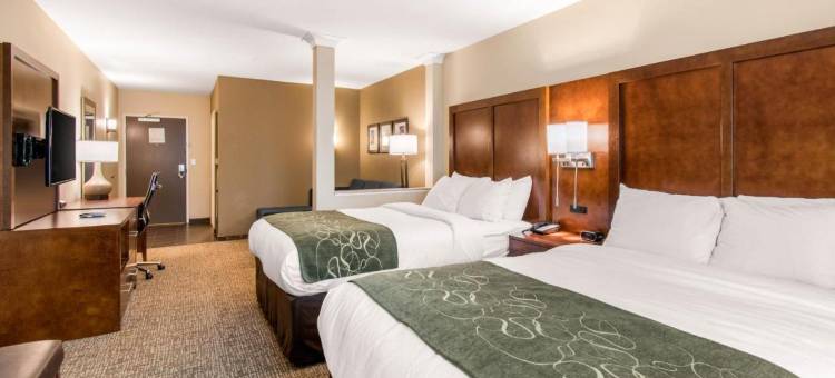 舒适套房酒店-近丹佛安舒茨医学院(Comfort Suites Denver Near Anschutz Medical Campus)图片