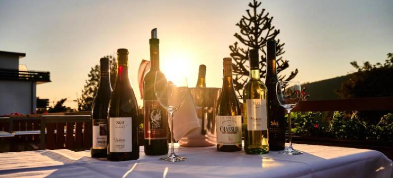 纽恩菲尔斯酒店(Hotel Neuenfels)图片