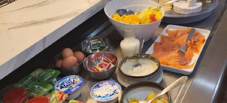 普莱森斯布里特酒店(Brit Hotel Plaisance A9/A61)图片