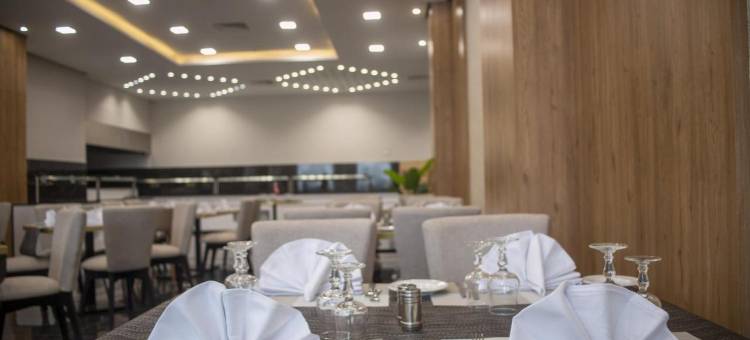 凯瑞达尊贵城市中心突尼斯(Kyriad Prestige City Center Tunis)图片