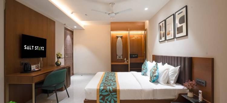 Saltstayz Premier Naraina 中央德里(SALTSTAYZ PREMIER - NARAINA, CENTRAL DELHI)图片