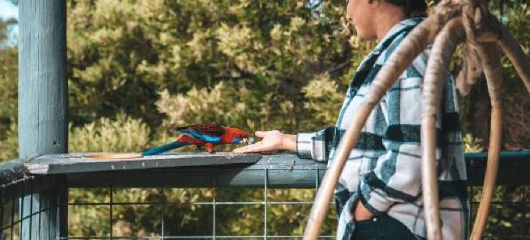 格雷纳尔小屋乡村民宿(Glenaire Cottages)图片