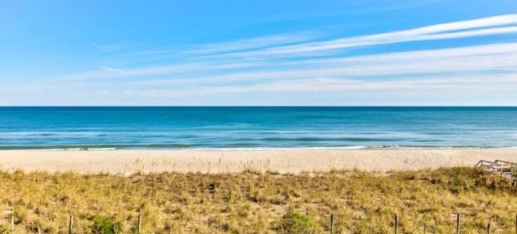 0305 Mako由大西洋塔实现您的梦想(0305 Mako Your Dreams Come True by Atlantic Towers)图片