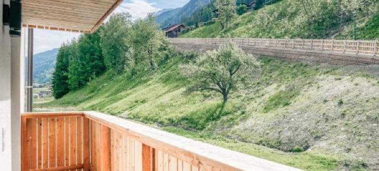 Gstrein公寓 - 滑雪进滑雪出(Apart Gstrein - Including Silvretta Premium Summercard)图片