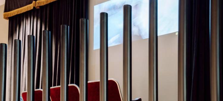 时髦&精简天鹅绒住宿(Chic & Basic Velvet)图片