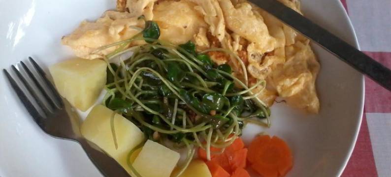 邦朋花园民宿旅馆(Suan Bang Bon Guest House)图片