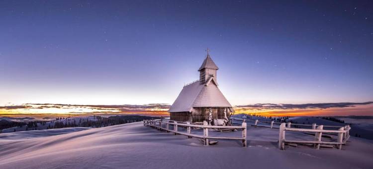 科卡比斯特拉 - 威力卡普拉妮娜饭店(Koča Bistra - Velika Planina)图片