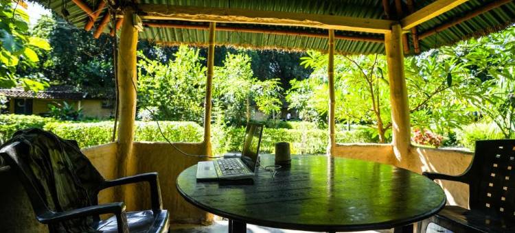 巴尔迪亚狂野星球酒店(Wild Planet Eco Retreat)图片