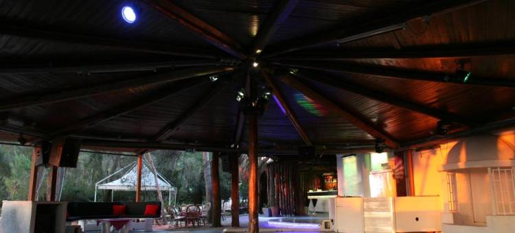 紫罗兰酒店(Hotel le Viole)图片