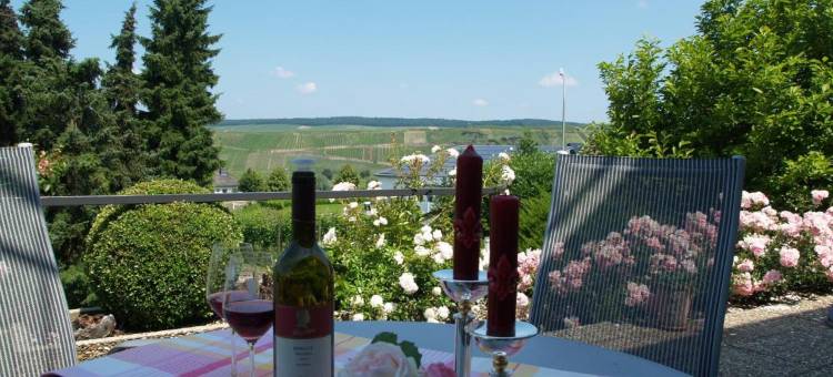 巴斯蒂安酒庄旅馆(Weingut Bastian)图片