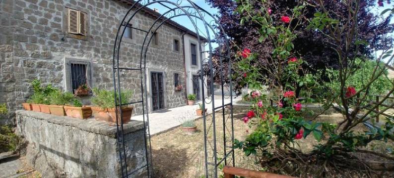 帕特尔诺奇欧民宿(B&B Paternocchio)图片