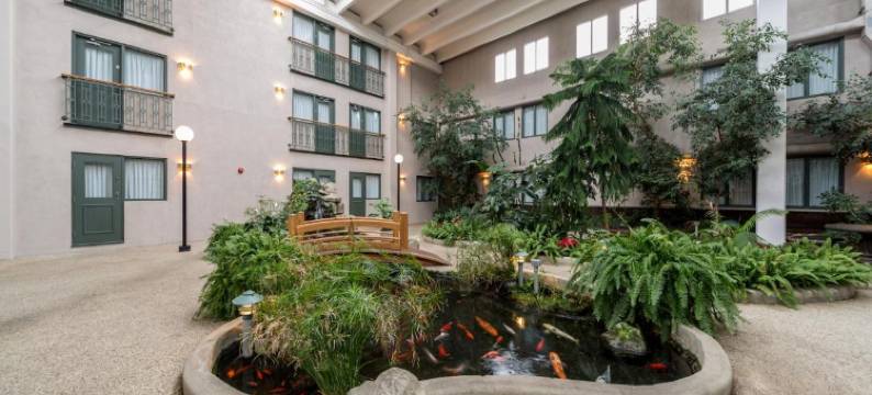 文物及会议中心酒店 - 布鲁克斯(Heritage Inn Hotel & Convention Centre - Brooks)图片