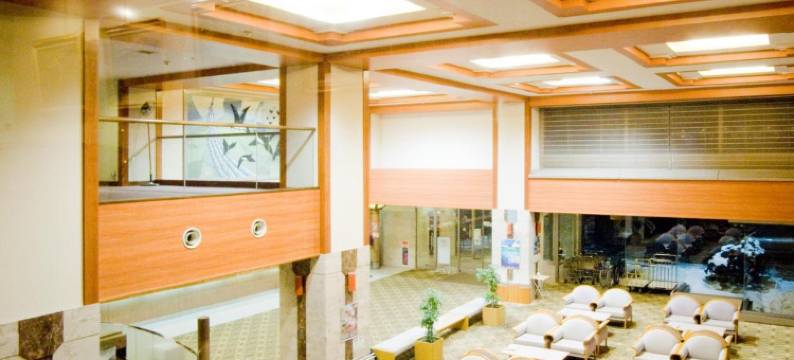 温根汤温泉美肌之汤宿大江本家(Oehonke)图片