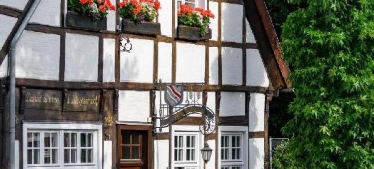 阿尔特韦勒恩酒店(Hotel Alt Vellern)图片