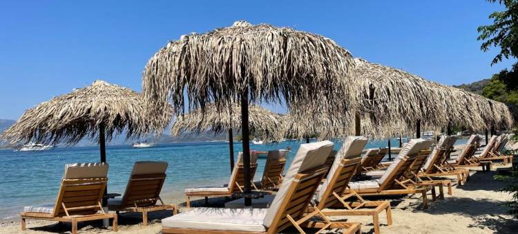 帕夫洛酒店(Hotel Pavlou)图片