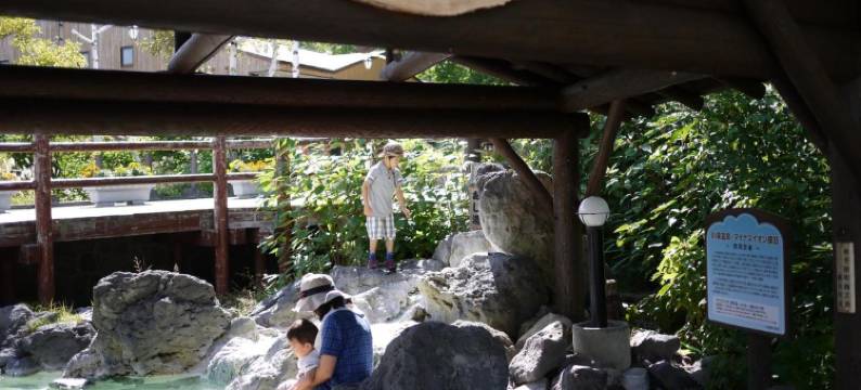 川汤KKR酒店(KKR Kawayu)图片