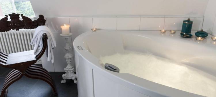 宫明兴维勒酒店(Schloss Münchenwiler)图片