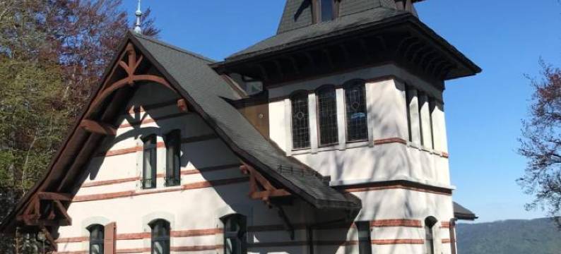 Le Manoir de l'Oselière & Spa图片