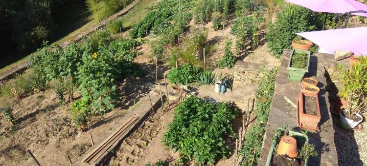 布朗内特小屋酒店(Les gîtes du Mas Brunet)图片