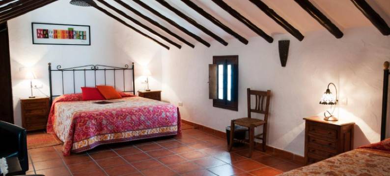 科尔蒂霍拉哈扎住宿加早餐旅馆(Cortijo la Haza)图片