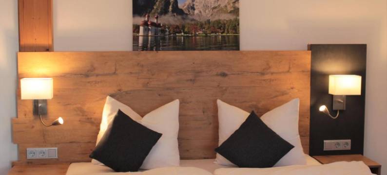 施万登祖戈德恩酒店(Zum Goldenen Schwanen)图片