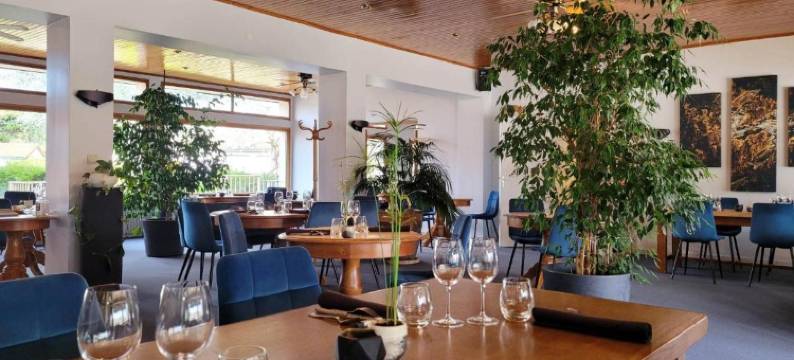 莱斯格利西尼斯酒店(Hotel Restaurant les Glycines)图片