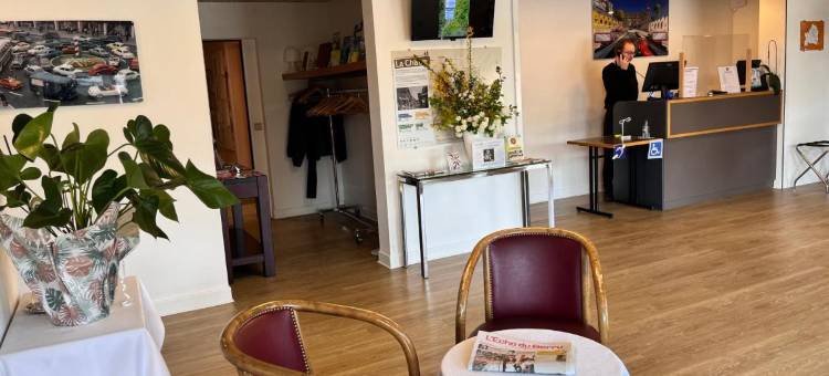 银狮与皮革酒店(Logis Hôtel Restaurant du Lion d'Argent Et des Tanneries)图片