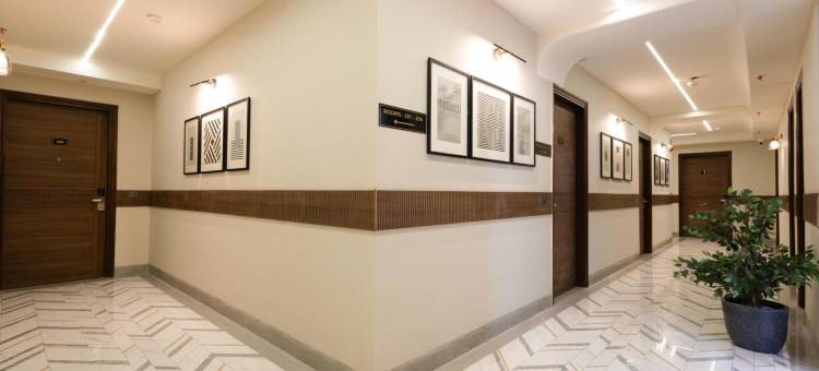 Saltstayz Premier Naraina 中央德里(SALTSTAYZ PREMIER - NARAINA, CENTRAL DELHI)图片