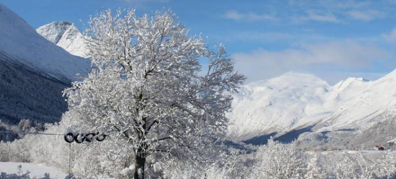 菲力普沙根酒店(Phillipshaugen Lodge)图片