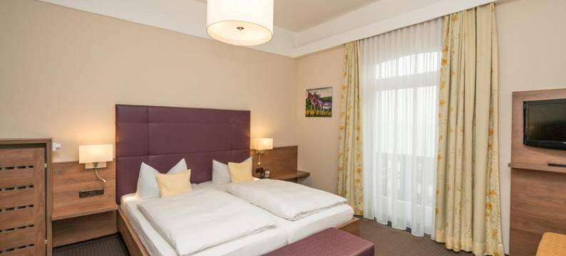 灰熊湖酒店(Seehotel Grauer Bär)图片