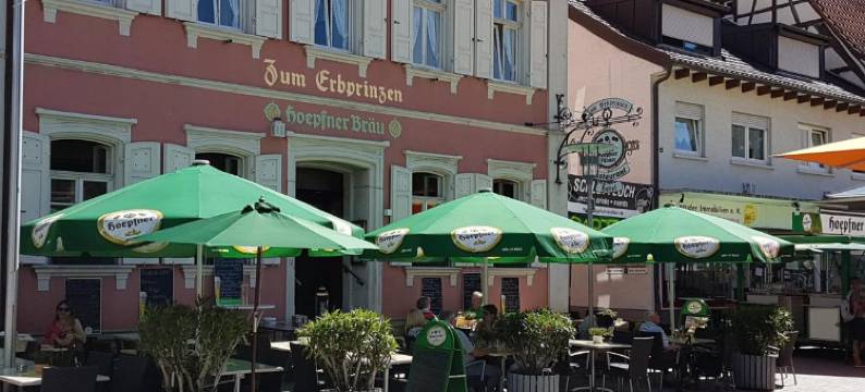 艾布帕林泽沃尔多夫餐厅酒店(Hotel Restaurant Erbprinz Walldorf)图片