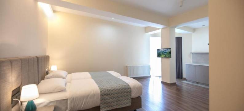 蒂朵普里萨旅馆(Hotel Takara)图片