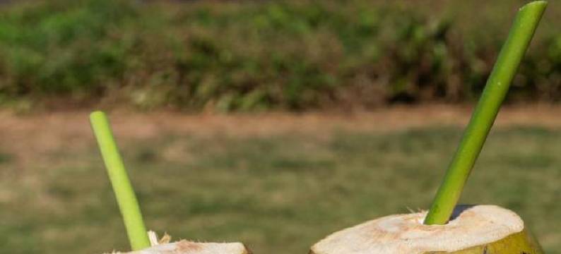 圣古旅馆(Pousada Santu Noronha)图片