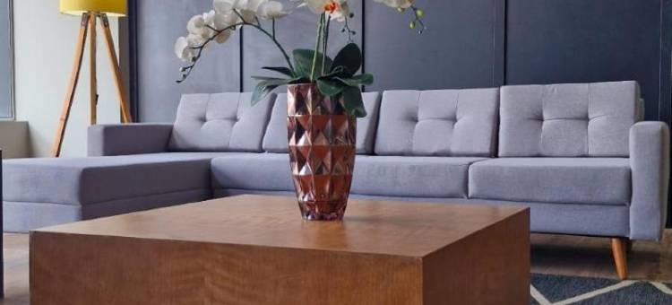 Tulip Inn Bauru图片
