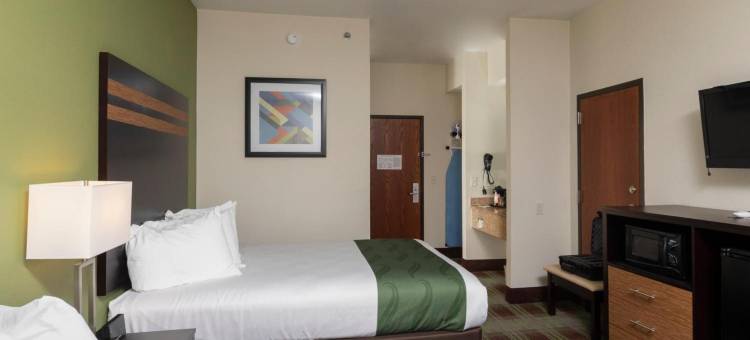 凯艺套房酒店(Quality Inn & Suites)图片