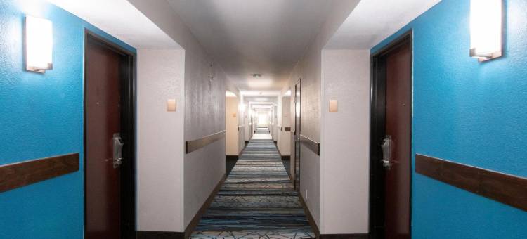 舒适套房酒店-近医疗中心(Comfort Inn & Suites Near Medical Center)图片