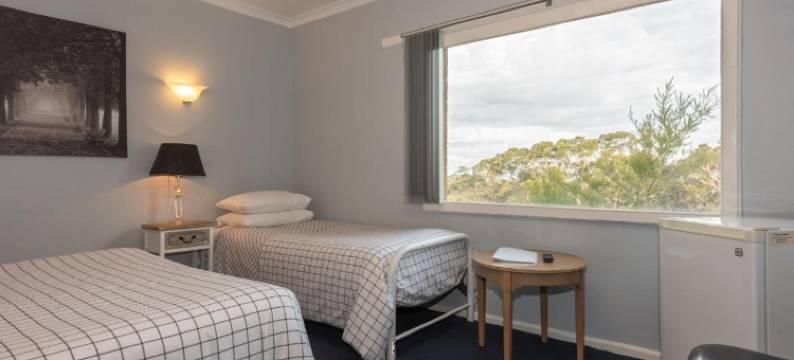 蓝山芝代汽车旅馆(Blue Mountains Highway Motel)图片